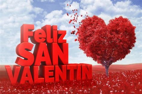 Día de San Valentín en España: ¿cómo es el Día de。